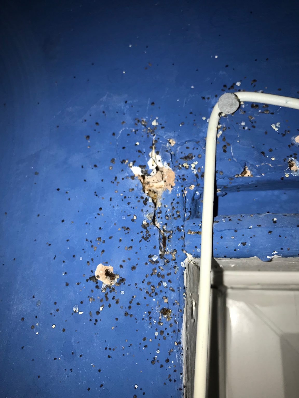 early-warning-signs-of-bed-bugs-dalpest